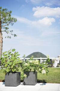 Cubo Millennium - Deroma - Varie Colorazioni