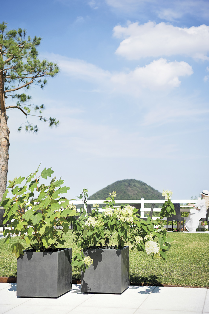 Cubo Millennium - Deroma - Varie Colorazioni