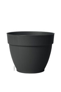 Vaso Ninfea - Deroma - Varie Colorazioni