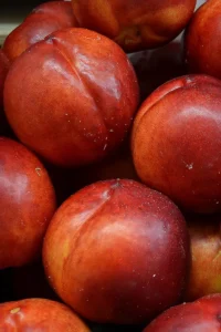 Pesca Noce Maria Carla v20 egarden.store online