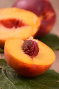 Pesco Noce Ambra v20 egarden.store online