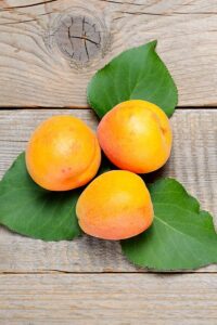 albero-albicocca-reale-d-imola albicocca reale d'imola