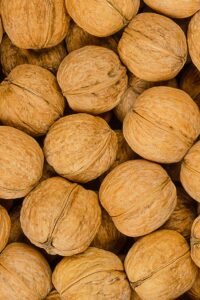 Albero di Noci comuni