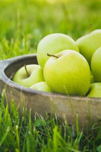 albero-mela-granny-smith mela granny smith