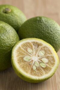 bergamotto Bergamotto - Citrus Bergamia