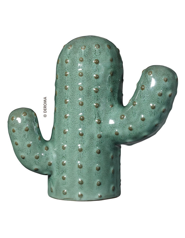 Cactus Arredo giardino