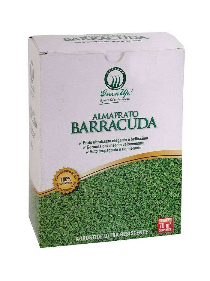 Almaprato Barracuda - Agrostide