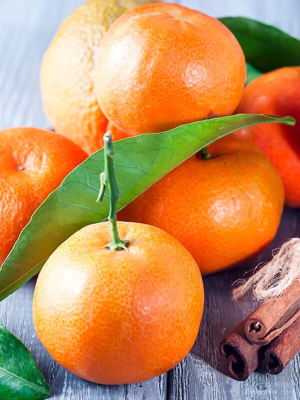 Mandarino - Citrus Reticulata