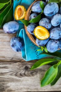 Pianta di Susina Regina Claudia Violetta