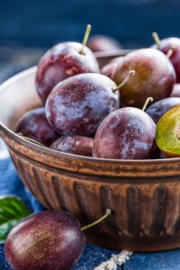 Pianta di Susina Sangue di Drago