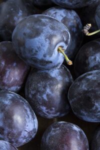 Prugna – Regina D’Italia