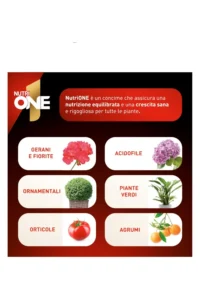 NutriONE - Concime Granulare 3kg egarden.store 2 NutriONE - Concime Granulare 3kg egarden.store online