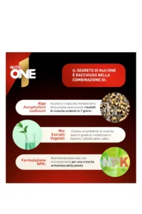 NutriONE - Concime Granulare 3kg egarden.store 3 NutriONE - Concime Granulare 3kg egarden.store online