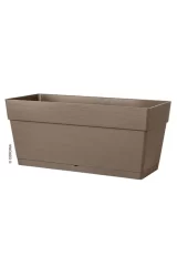 cassetta save camel 49 egarden.store online