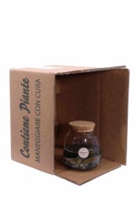 Marimo Rock v12 egarden.store online