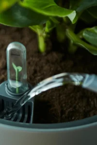 Self Watering Insert Black - Elho