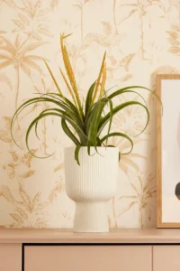 Vaso Vibes Fold Copue White v14 egarden.store online