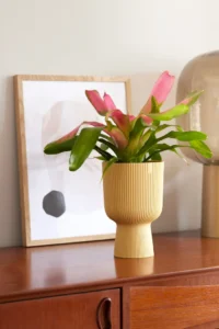 Vaso Vibes Fold Coupe Yellow - Elho