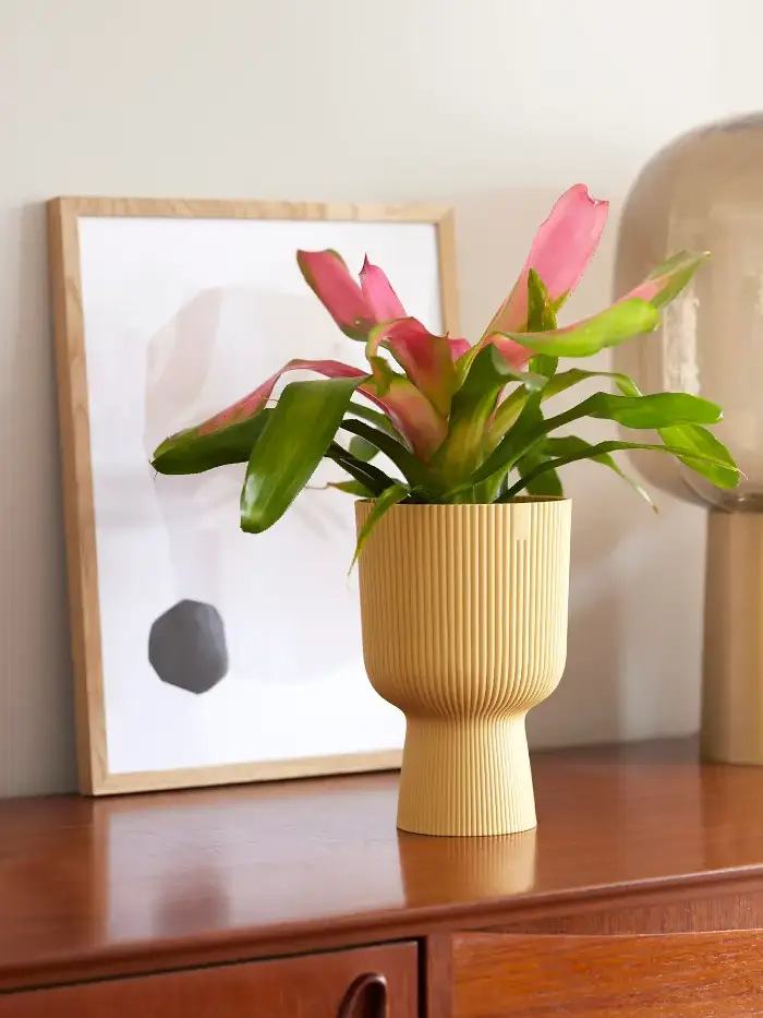 Vaso Vibes Fold Coupe - Elho - Varie Colorazioni