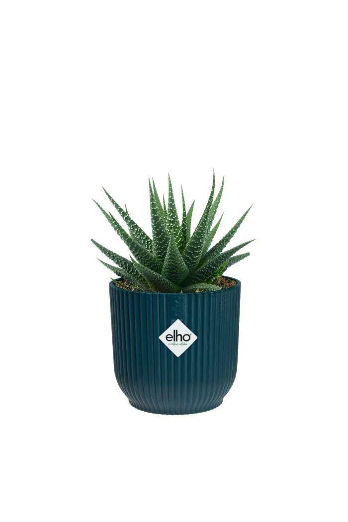 Vaso Vibes Fold Round Mini Blue v9 egarden.store online