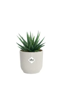 Vaso Vibes Fold Round Mini White v9 egarden.store online