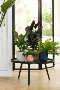 Vaso Vibes Fold Round egarden.store online