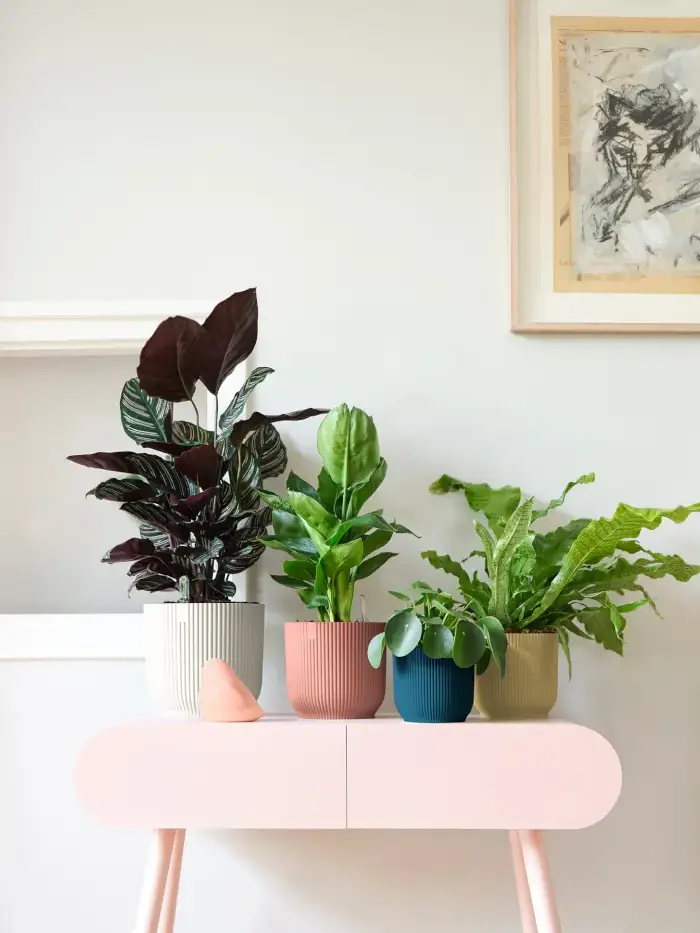 Vaso Vibes Fold Round - Elho - Varie Colorazioni