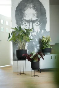 Vaso b.for studio round Black v22 egarden.store online