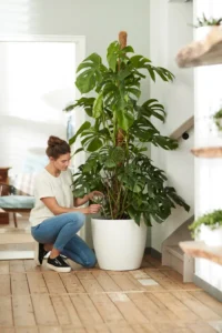 Vaso brussels round Wheels White v35 egarden.store online