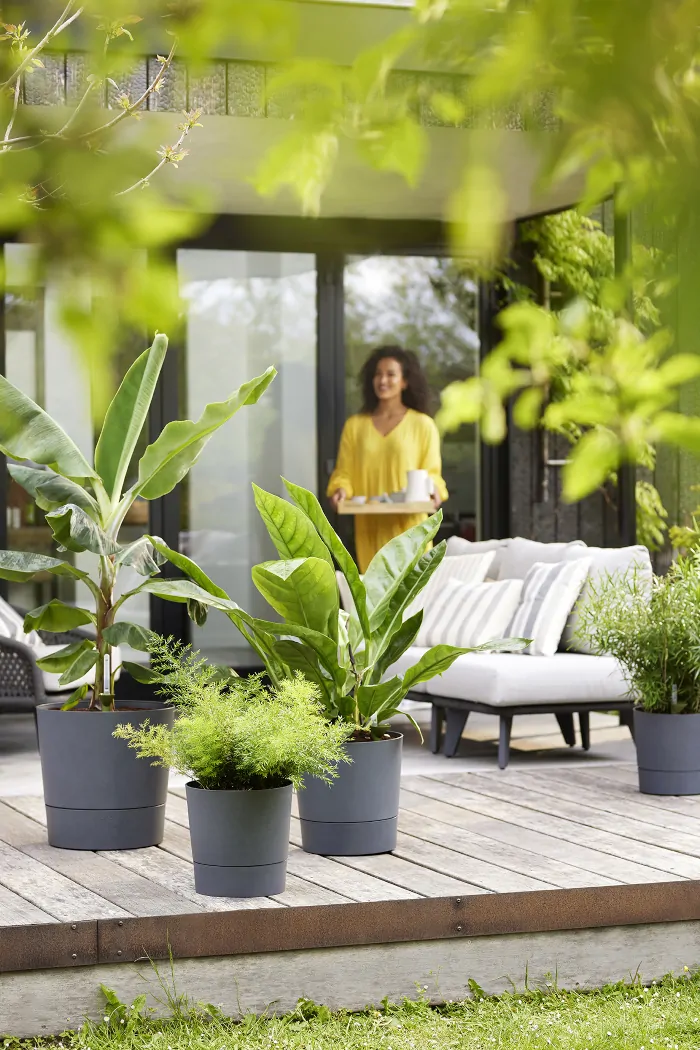 Greensense AC Round Charcoal Gray v30 egarden.store online