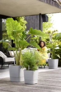 Greensense AC Square Light Concrete v30 egarden.store online