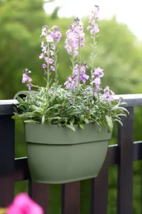 Vibia Campana Easy Hanger L Green v20 egarden.store online