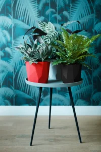 Vaso b.for rock Black v18 egarden.store online