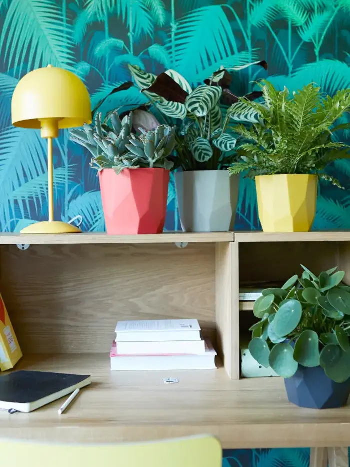 Vaso b.for rock Ochre v18 egarden.store online