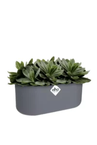 Vaso b.for soft duo Anthracite v27 egarden.store 4 Vaso b.for soft duo Anthracite v27 egarden.store online