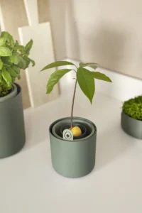 Amazing Avocado Pot Green v12 egarden.store online