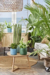 Vaso The Ocean Collection Blu v14 egarden.store online