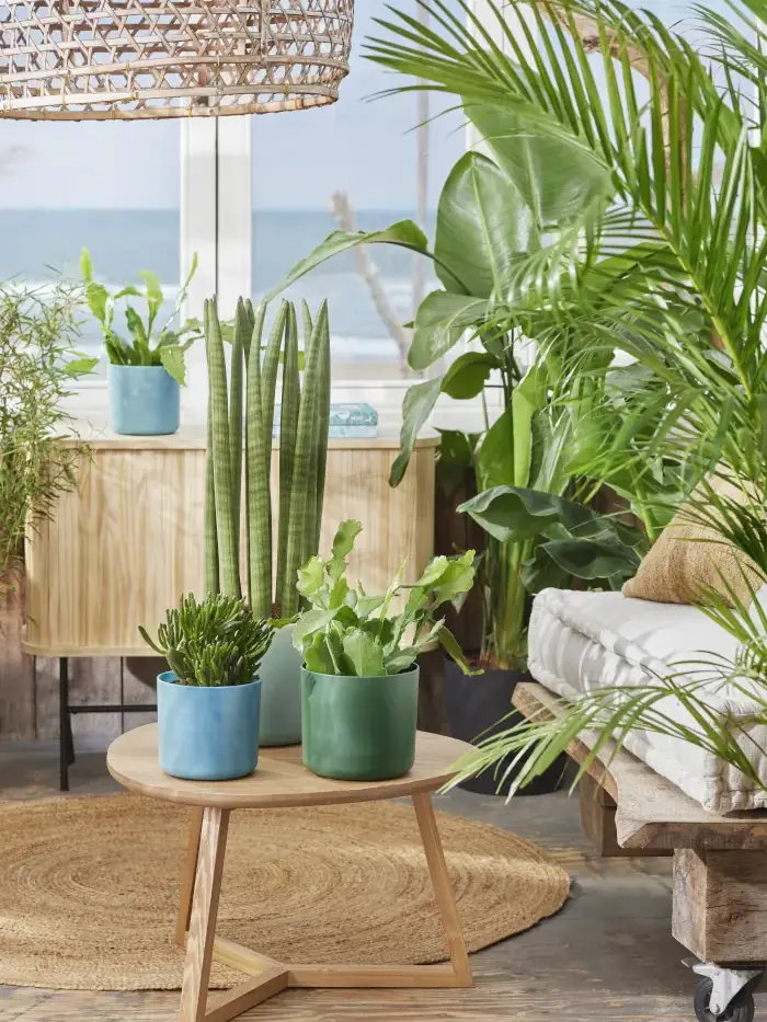 Vaso The Ocean Collection Blu v14 egarden.store online