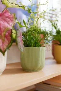 Vaso Vibes Fold Round Mini Green v9 egarden.store online