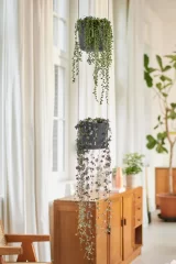 Vaso b.for swing Anthracite v18 egarden.store online