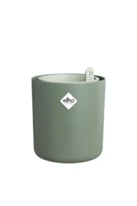 Bouncy Basil Green v17 egarden.store online