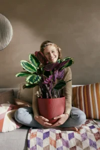 Vaso Jazz Round Red v26 egarden.store online