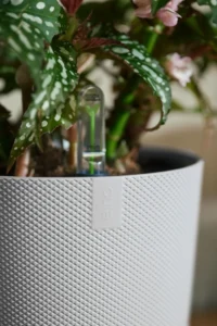 Vaso Jazz Round White - Elho