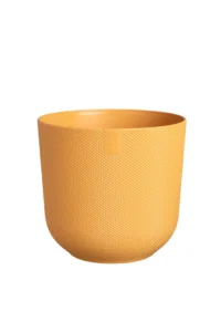 Vaso Jazz Round Yellow v26 egarden.store online
