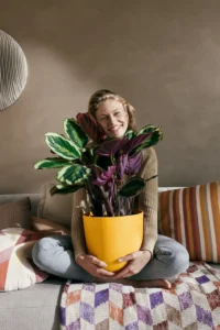 Vaso Jazz Round Yellow v26 egarden.store online