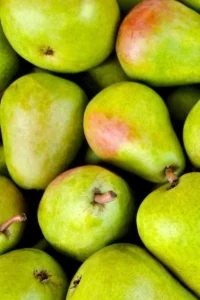 Pera Etrusca v20 egarden.store online