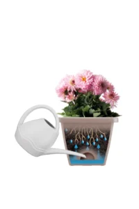 Barcelona Allin v50 egarden.store online