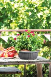 Ciotola Day Antracite 50 egarden.store 2 Ciotola Day Antracite 50 egarden.store online