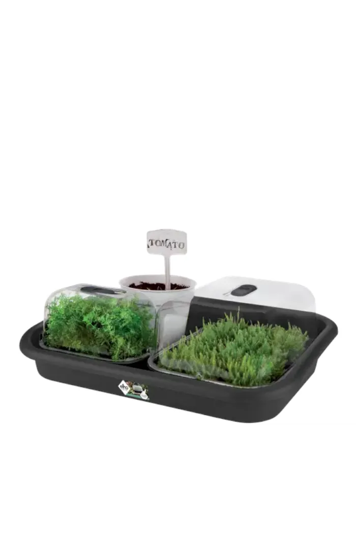 Green Basic Garden Tray - Elho