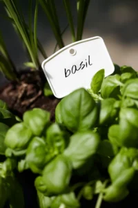 Green Basic Plantlabels S Bianco egarden.store online